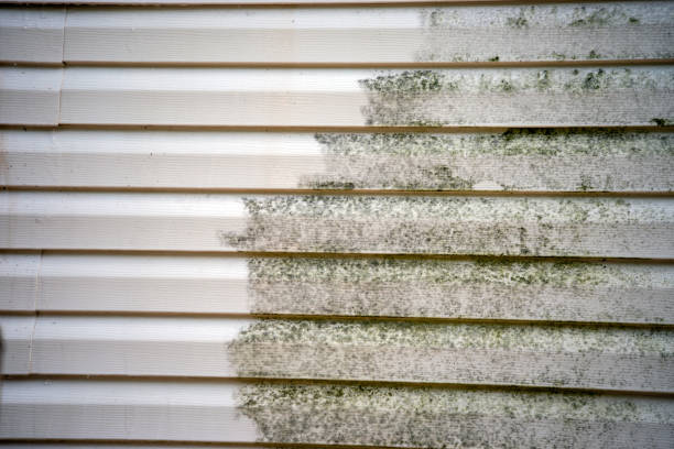 Same-Day Junk Removal Services in Abbeville, SC